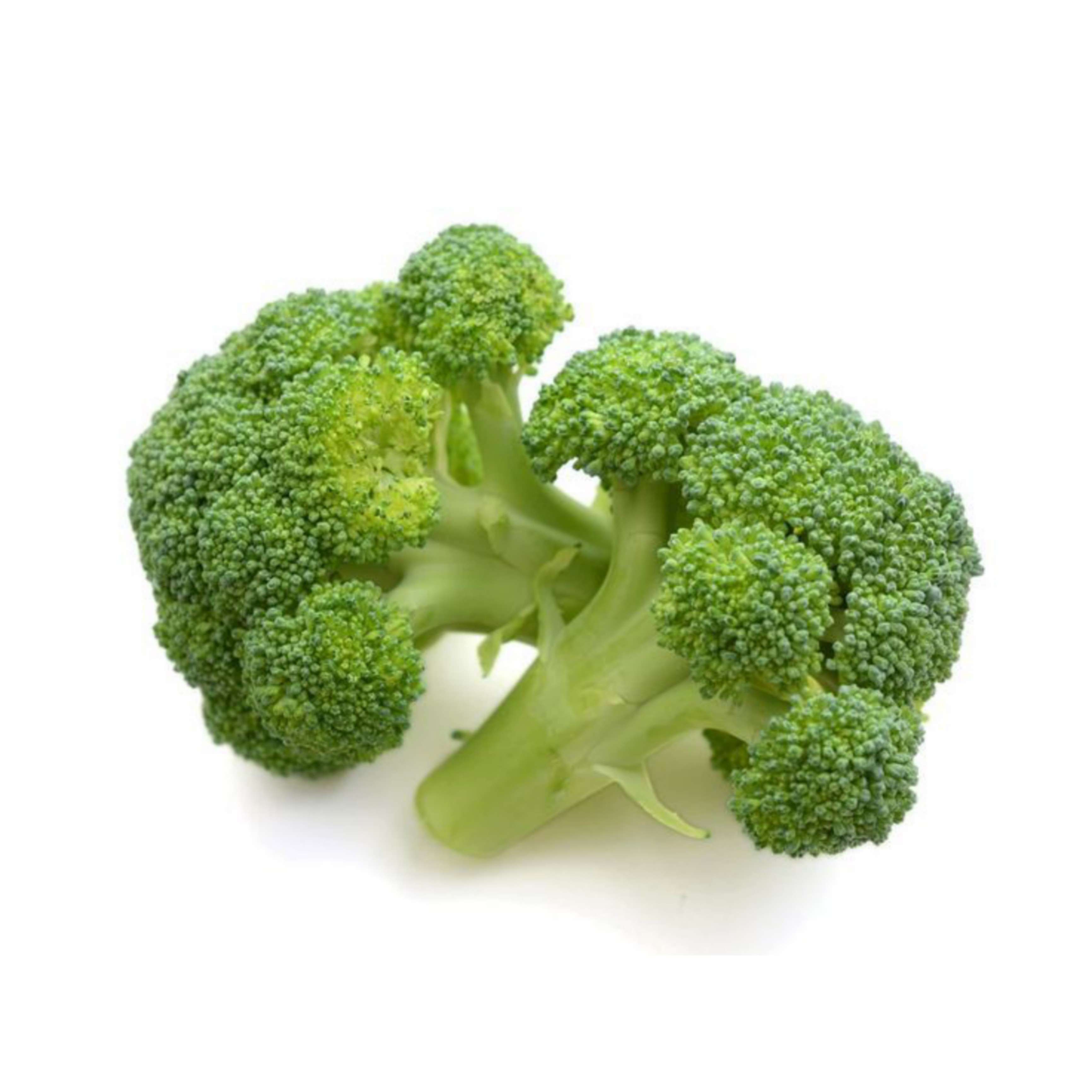 Brokoli
