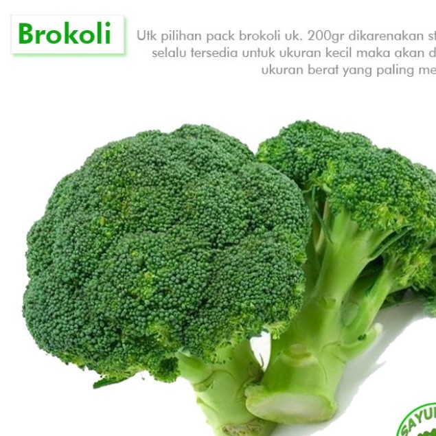 Brokoli Organik