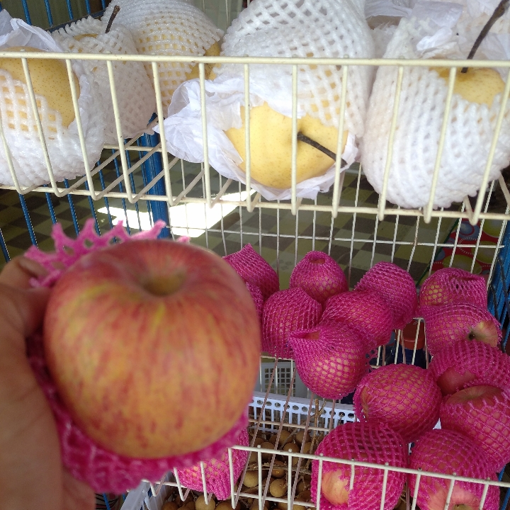 Buah Apel Dan Pir
