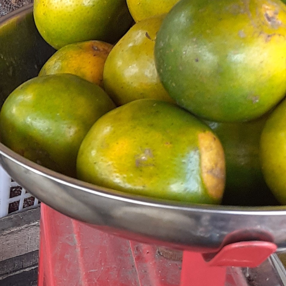Buah Jeruk
