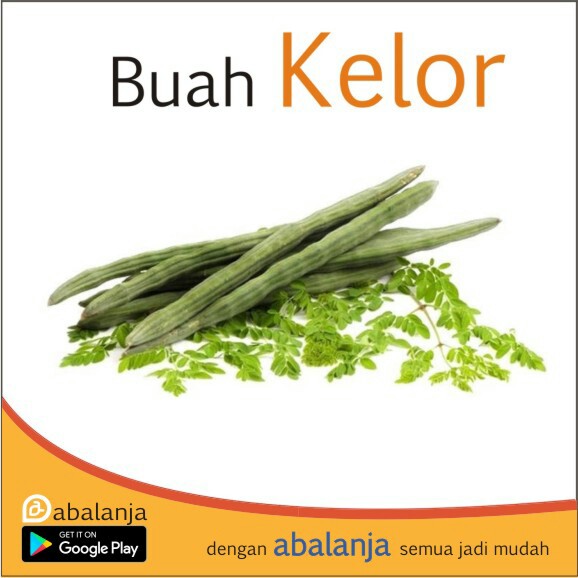 Buah Kelor 1 Ikat