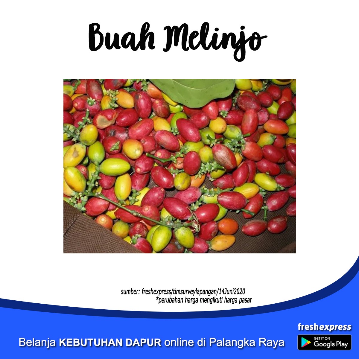 Buah Melinjo 1 Ons