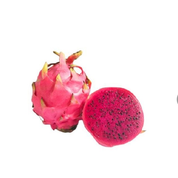 Buah Naga