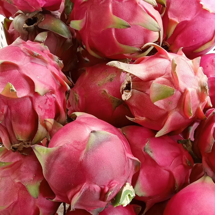 Buah Naga