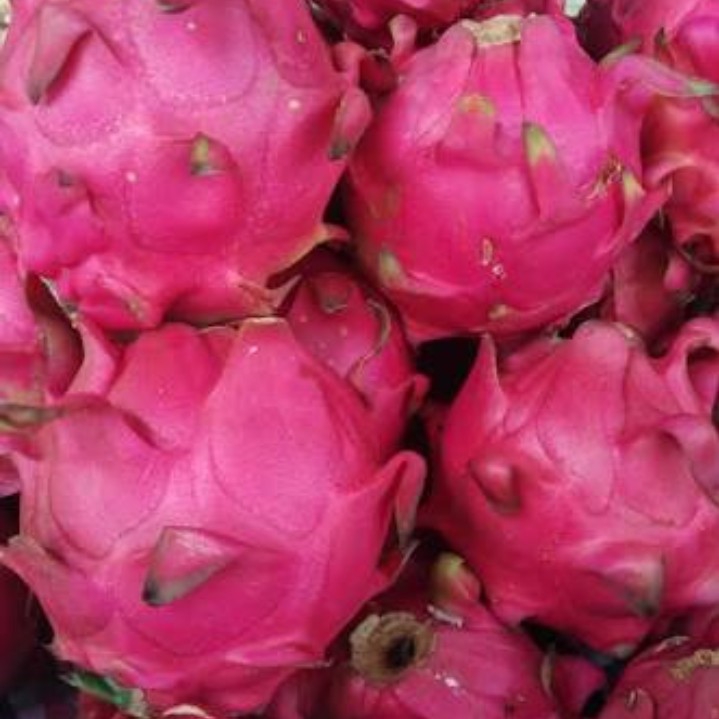 Buah Naga