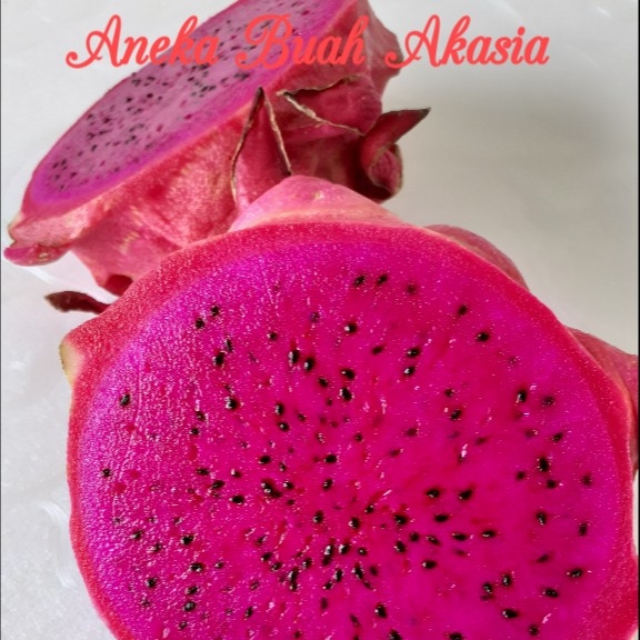 Buah Naga