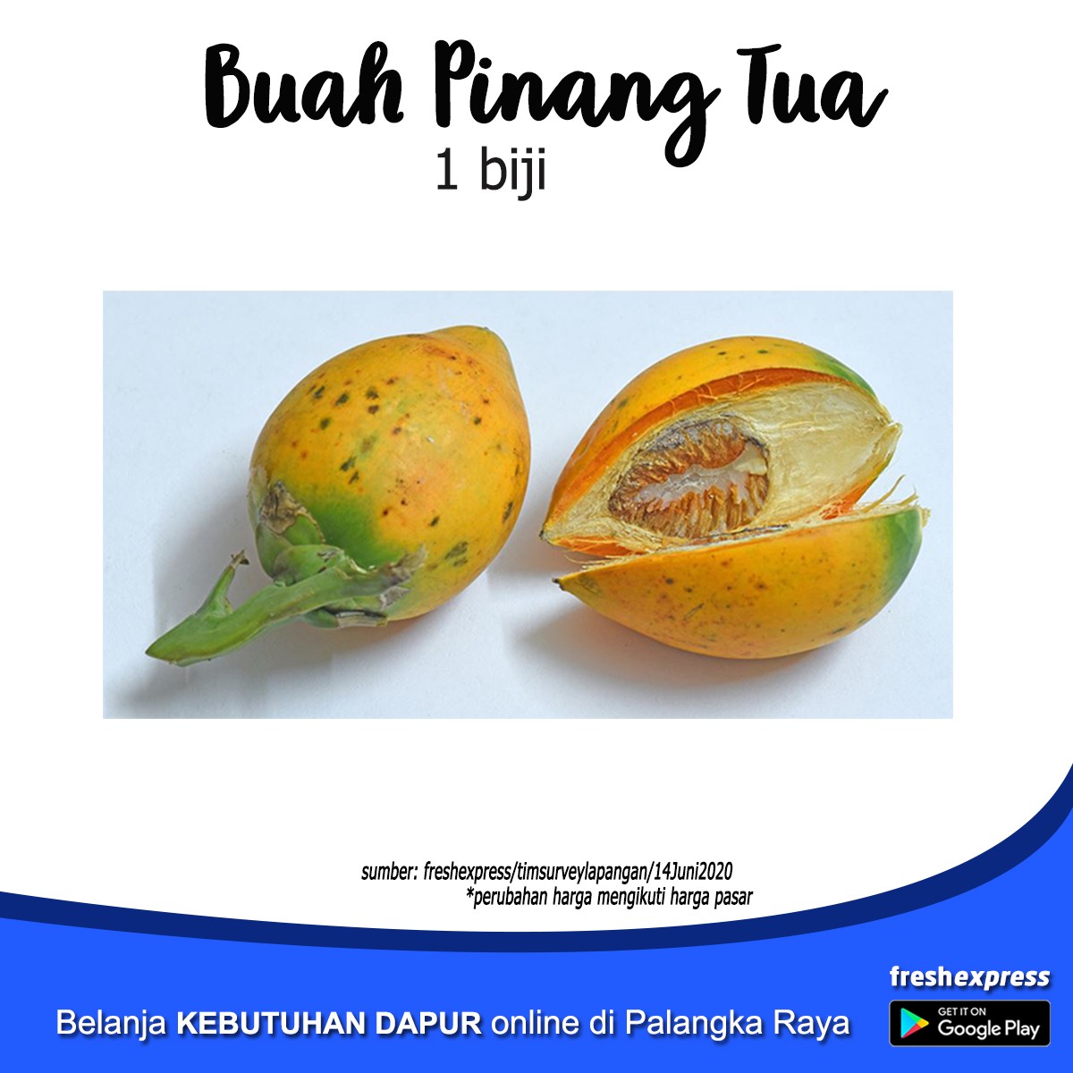 Buah Pinang Tua 1 Biji