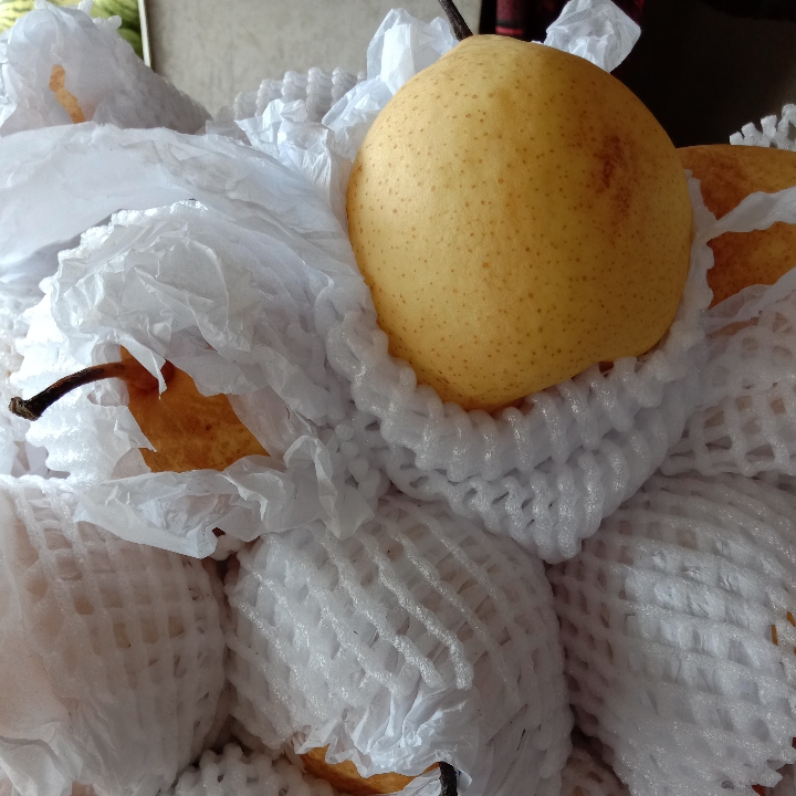 Buah Pir