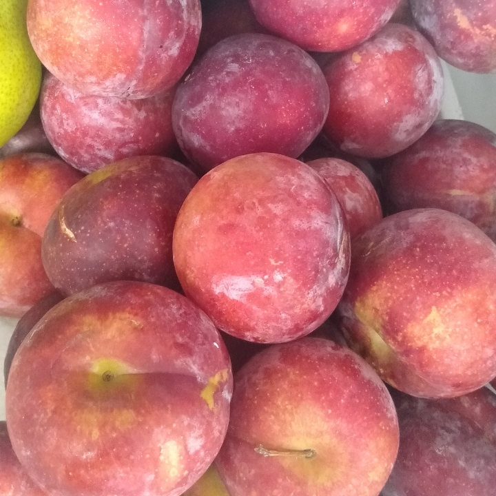 Buah Plum