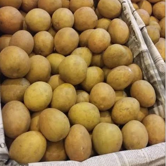 Buah Sawo
