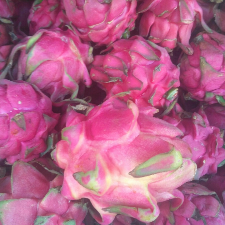 Buah Segar