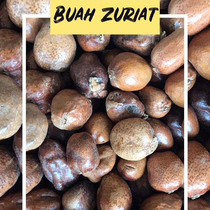 Buah Zuriat