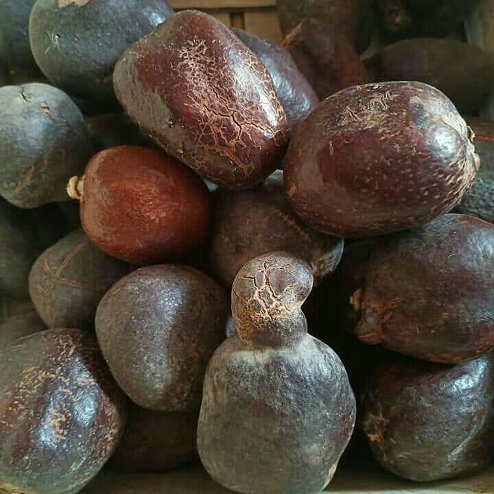 Buah Zuriyat