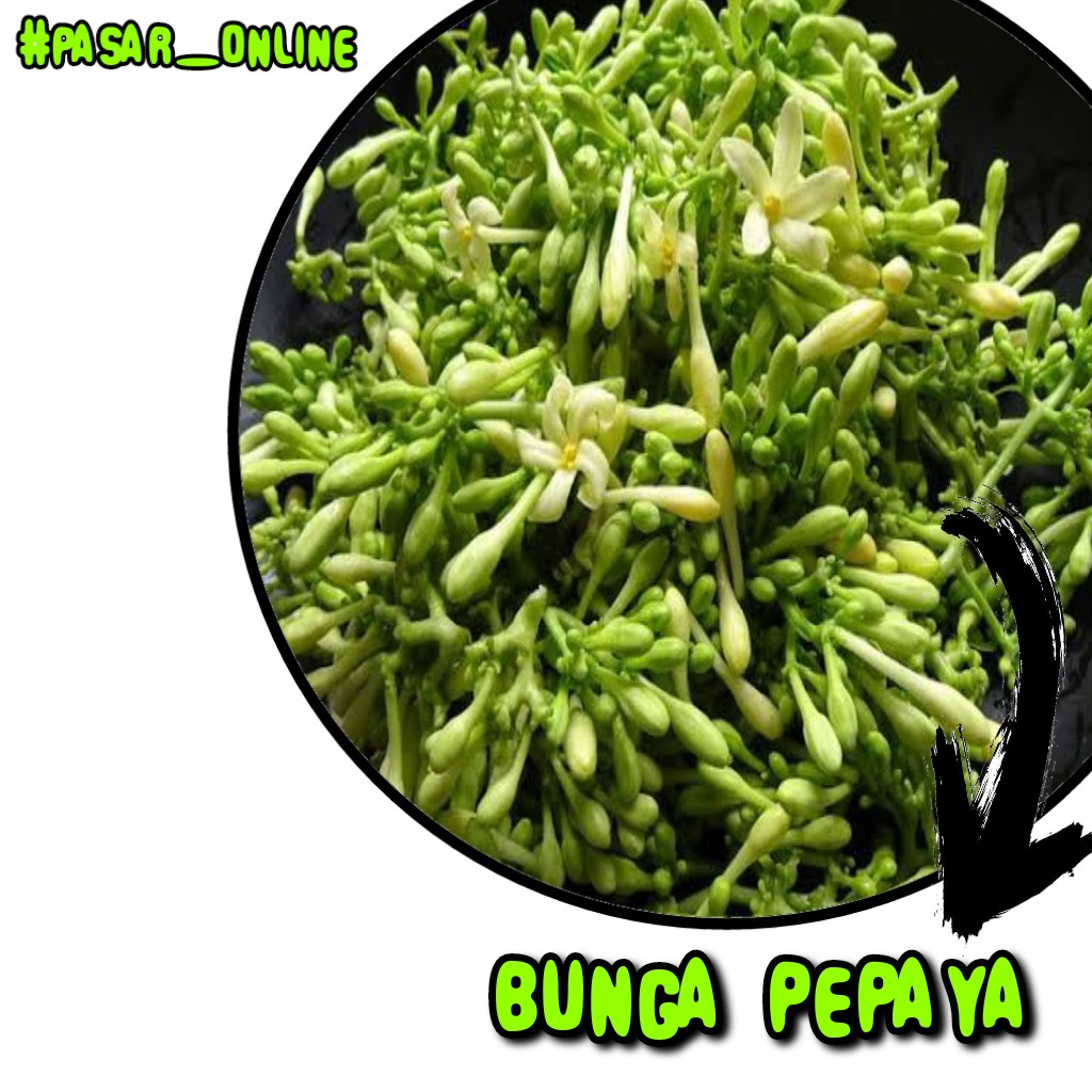 Bunga Pepaya 1 Bungkus