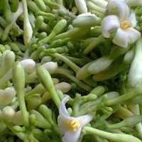 Bunga Pepaya 1kg