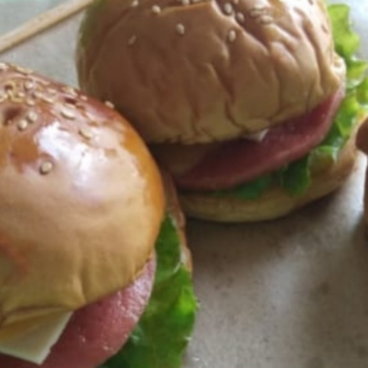 Burger Biasa