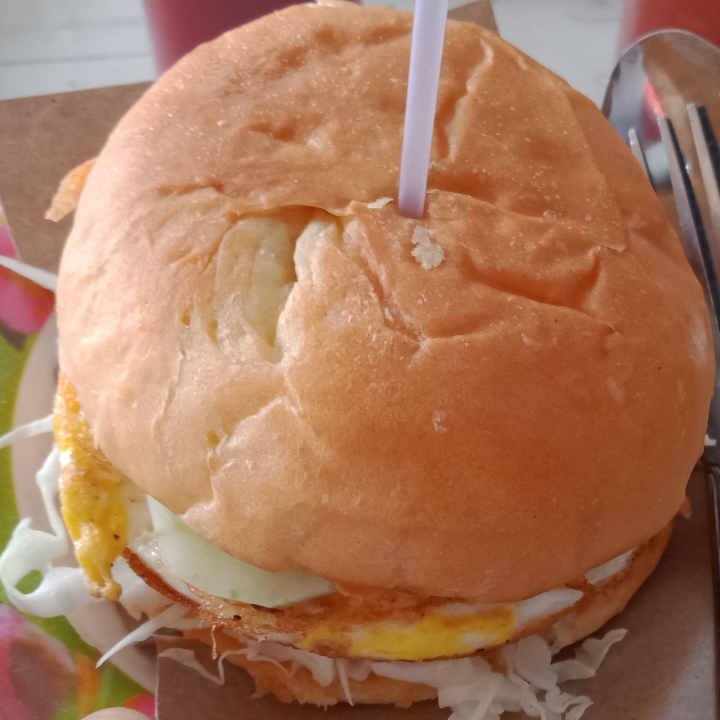 Burger Biasa