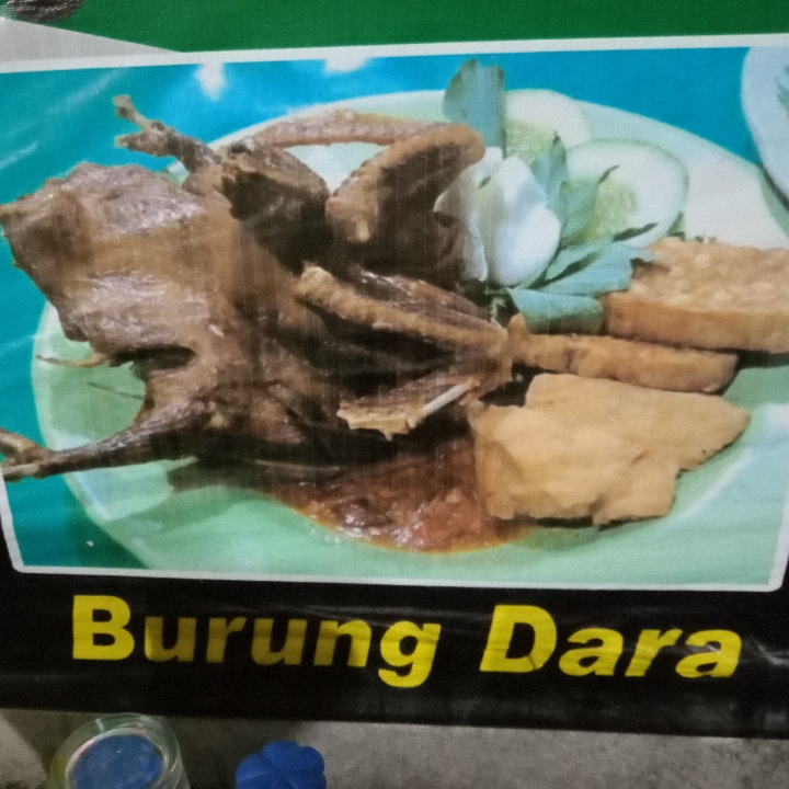 Burung Dara Dengan Nasi