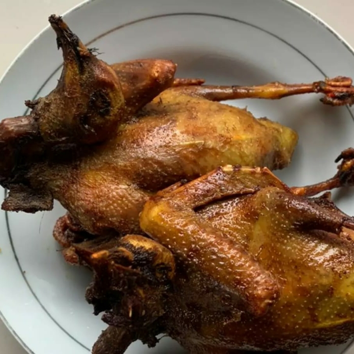 Burung Dara Goreng