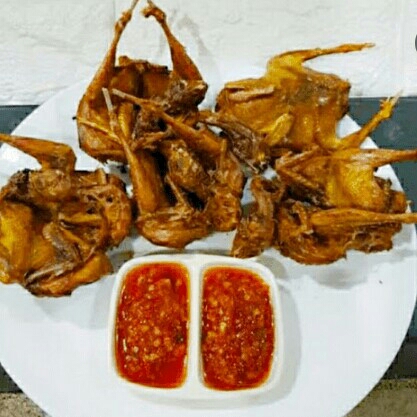 Burung Dara Goreng
