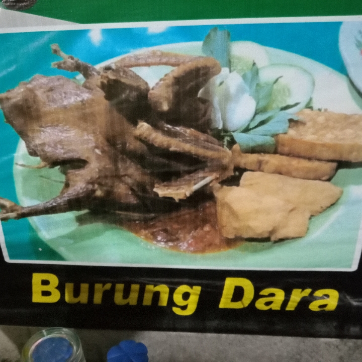 Burung Dara Tanpa Nasi
