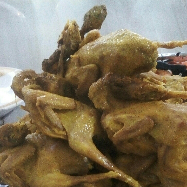 Burung Puyuh