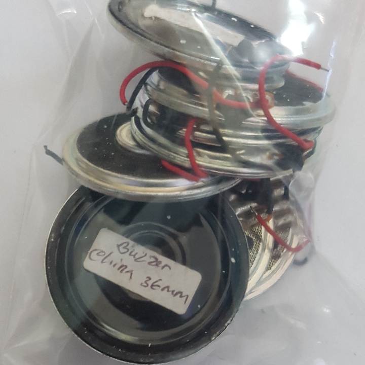 Buzzer China 