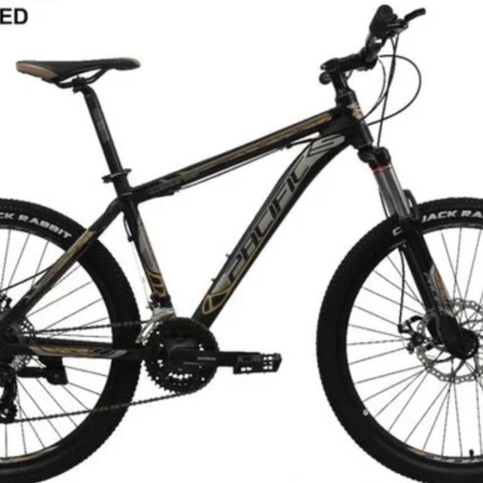 C10-SEPEDA MTB PACIFIC 26 INVERT 300