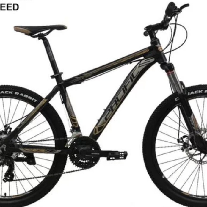 C6-SEPEDA MTB PACIFIC 26 INVERT 300