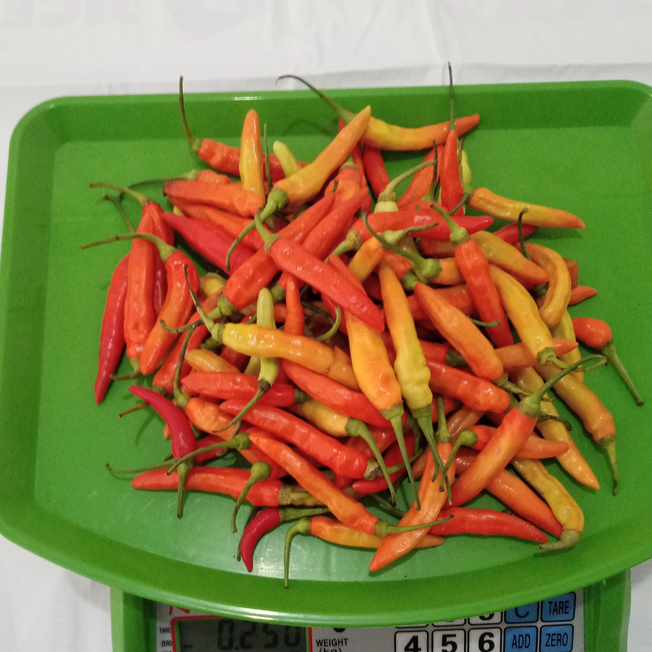 CABAI RAWIT 250 Gram 2