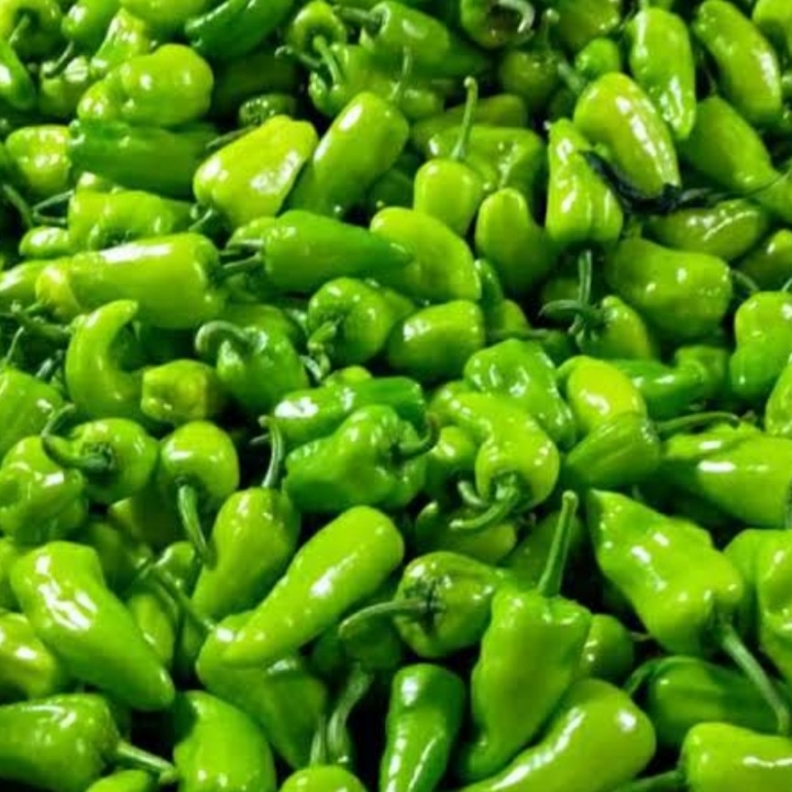 CABE HIJAU 