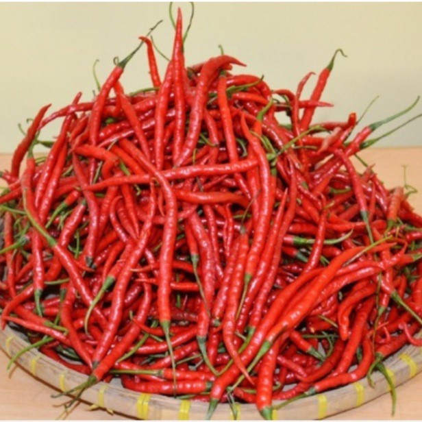 CABE MERAH KERITING SUMBAR