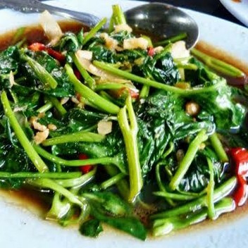 CAH KANGKUNG 