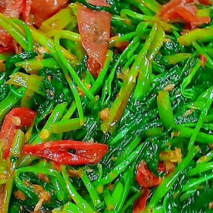 CAH KANGKUNG 