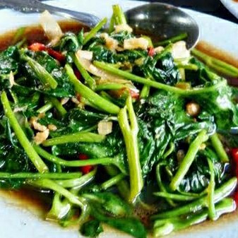 CAH KANGKUNG