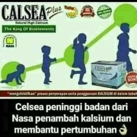 CALSEA 2
