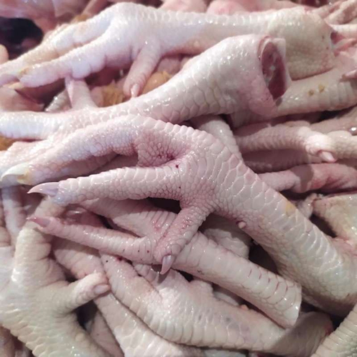 CEKER AYAM 