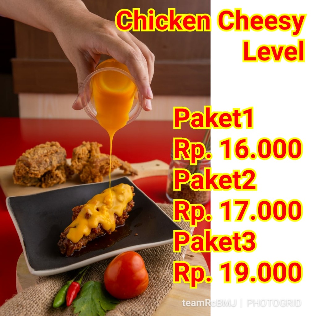 CHICKEN CHEESY LEVEL