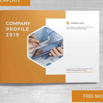Company Profile 2