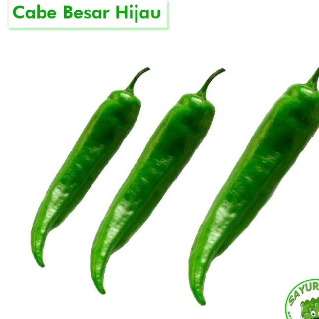 Cabai Hijau Besar