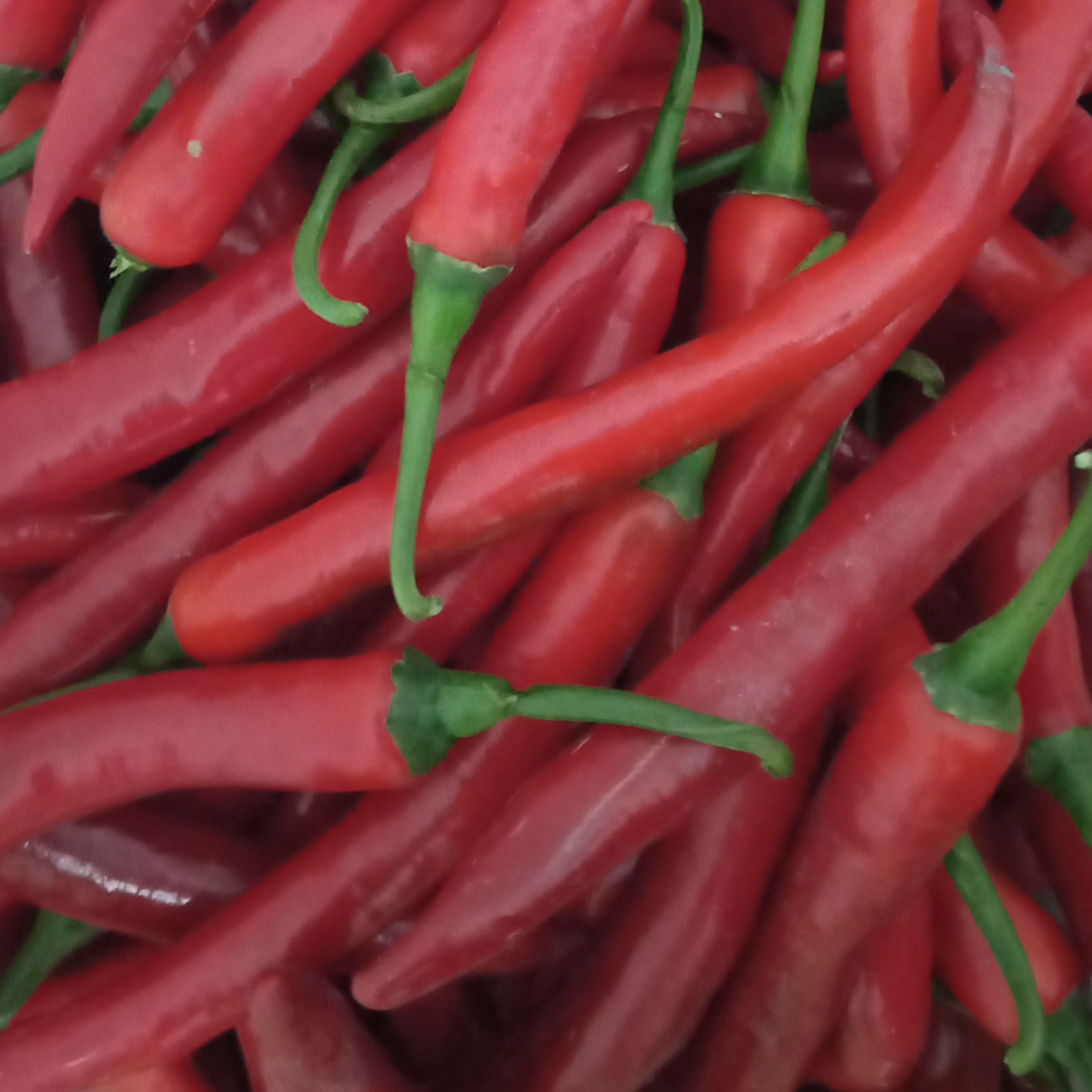 Cabai Merah Besar 1 Ons