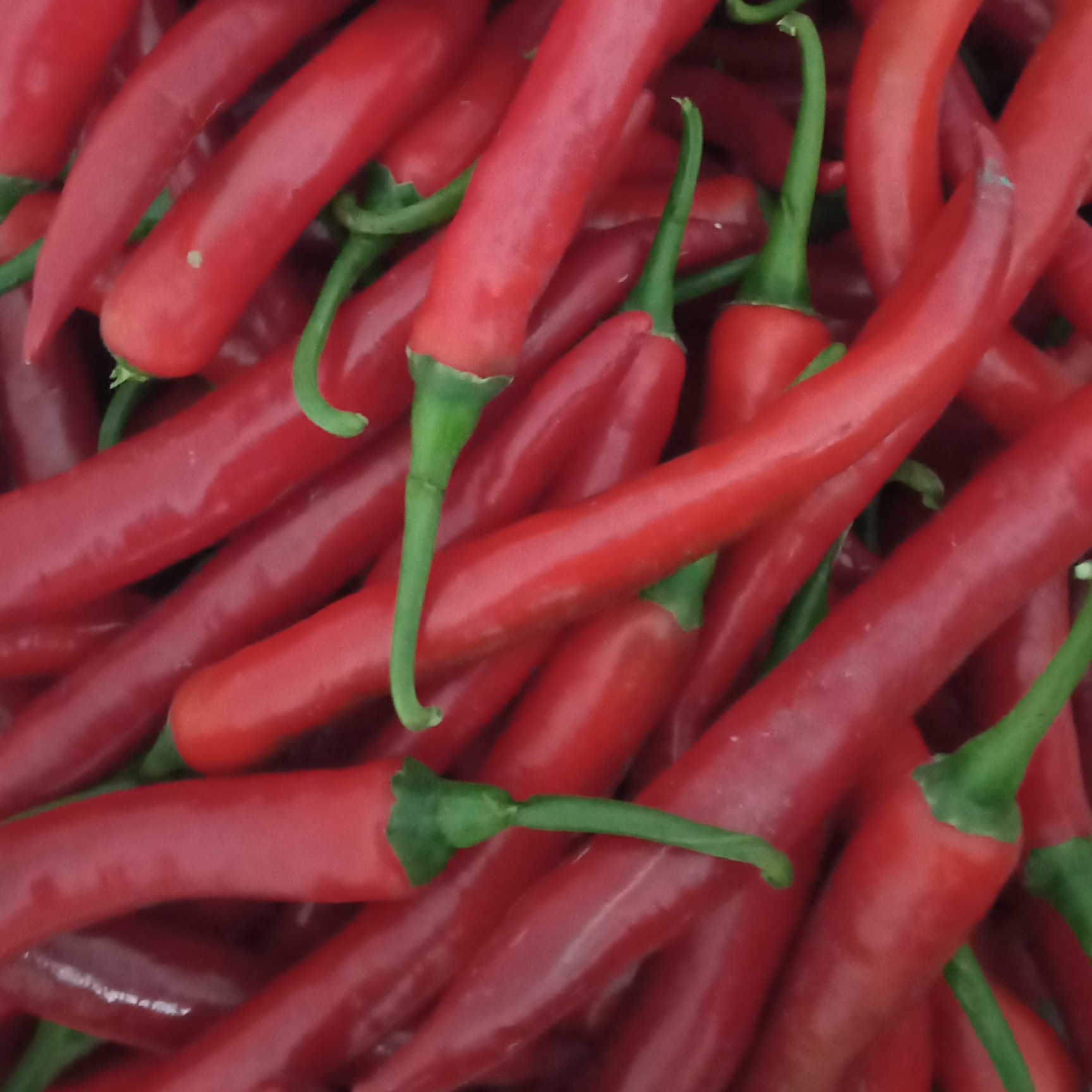 Cabai Merah Besar 250 Gram