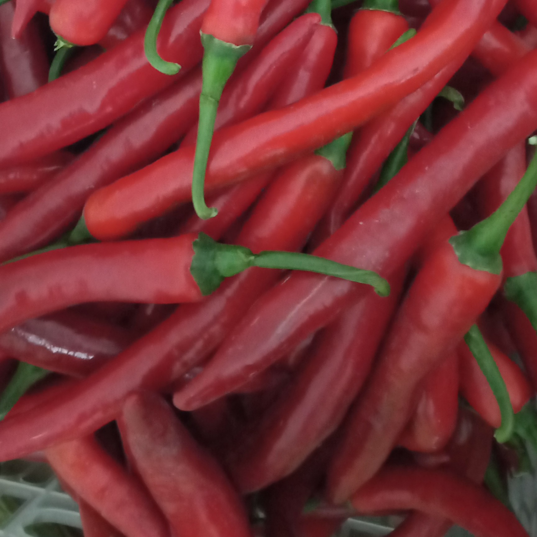 Cabai Merah Besar 50 Gram 2