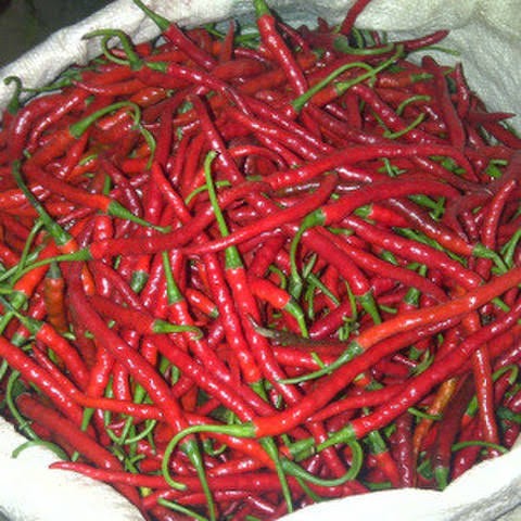 Cabai Merah Kriting
