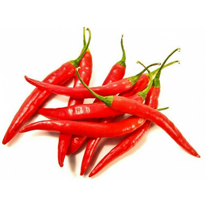 Cabe Merah Solok Dan Jenis Cabe Lain nya 