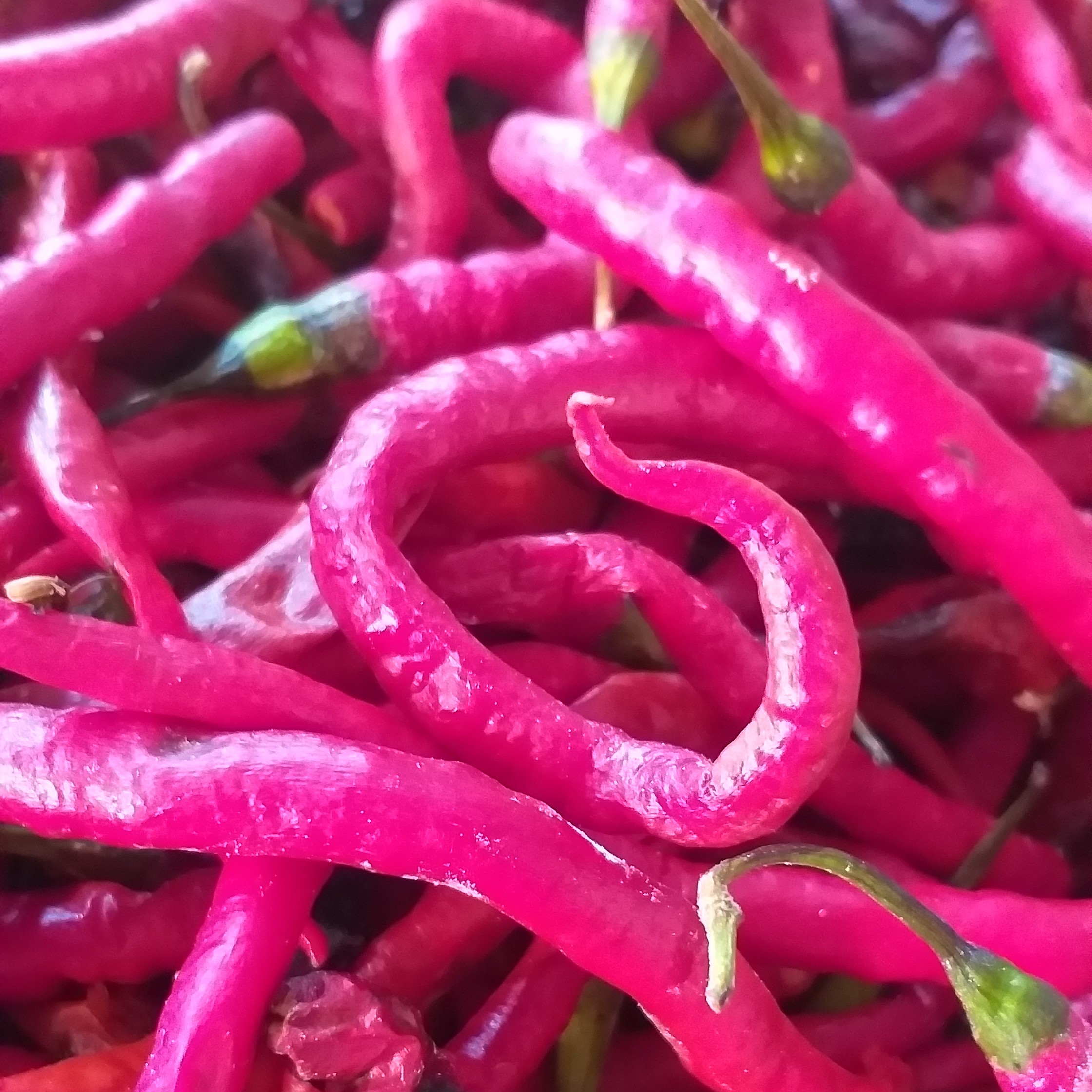 Cabe