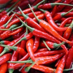 Cabe Besar