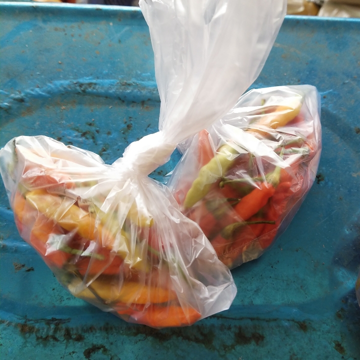 Cabe Bungkus