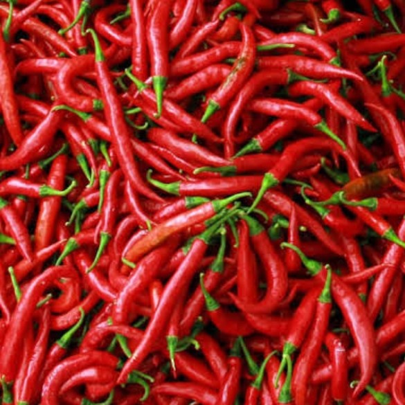 Cabe Darek 1 kg