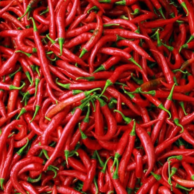 Cabe Darek 250 gr